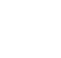 Indre Auge Studio logo