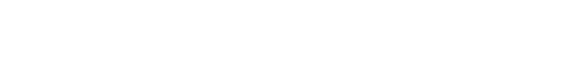 Different Suns logo